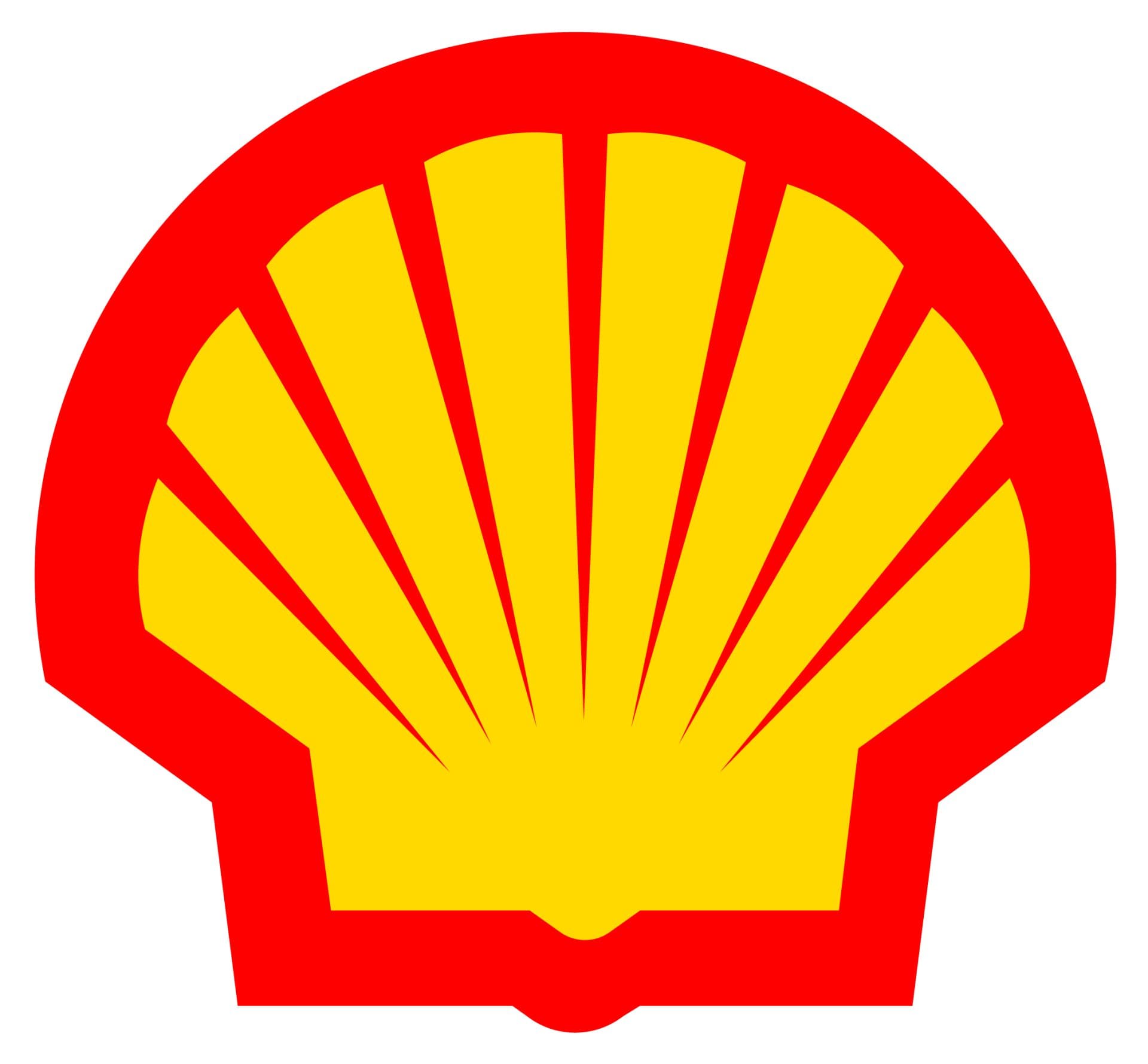 Shell_Pecten
